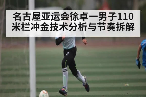 名古屋亚运会徐卓一男子110米栏冲金技术分析与节奏拆解 | kaiyun